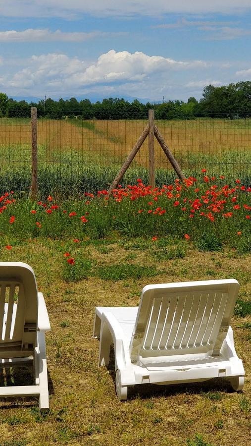 Porte Di Venezia, Tessera Aeroporto Hotel Municipalità di Municipalità di Favaro Veneto Kültér fotó